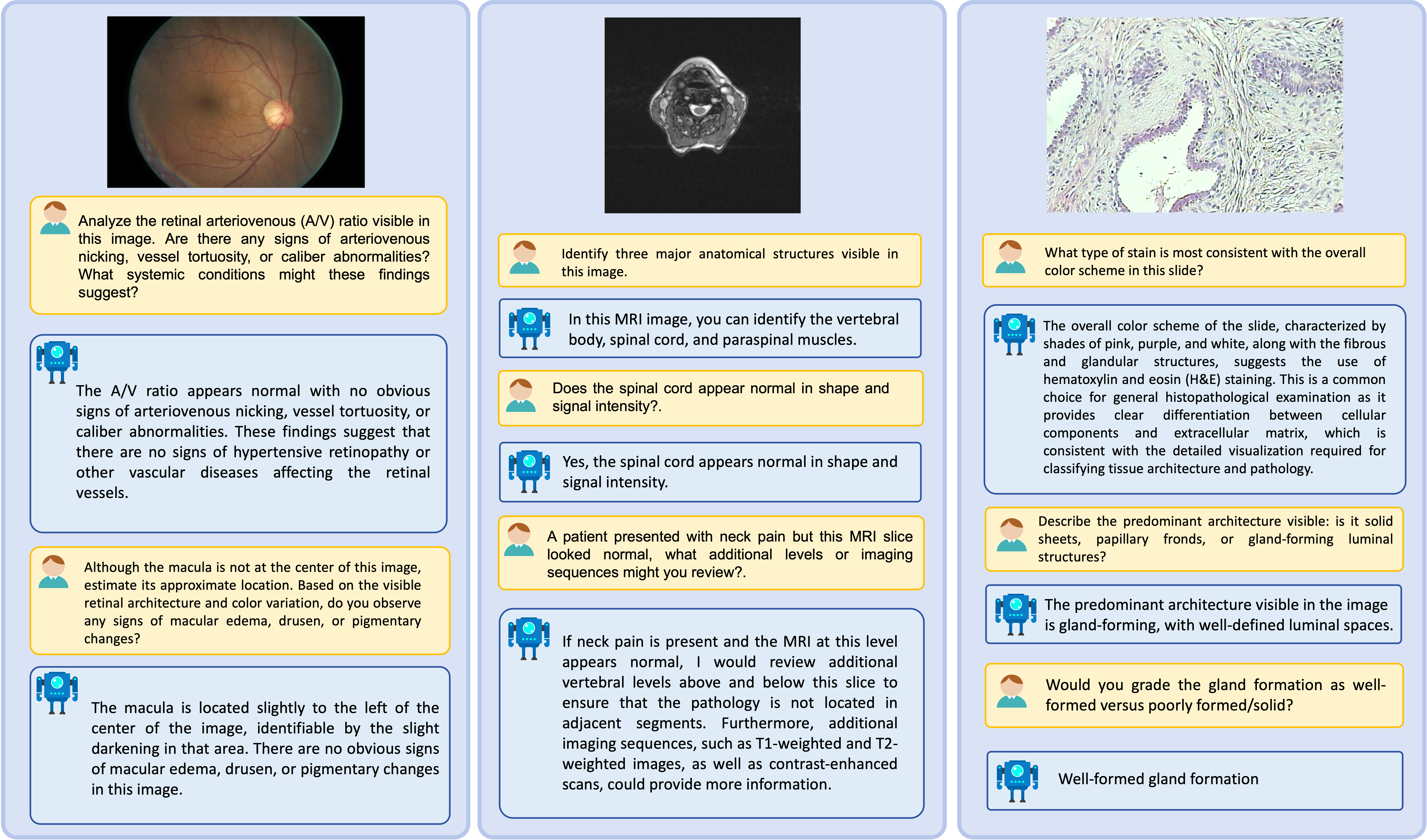 Medical VQA Examples