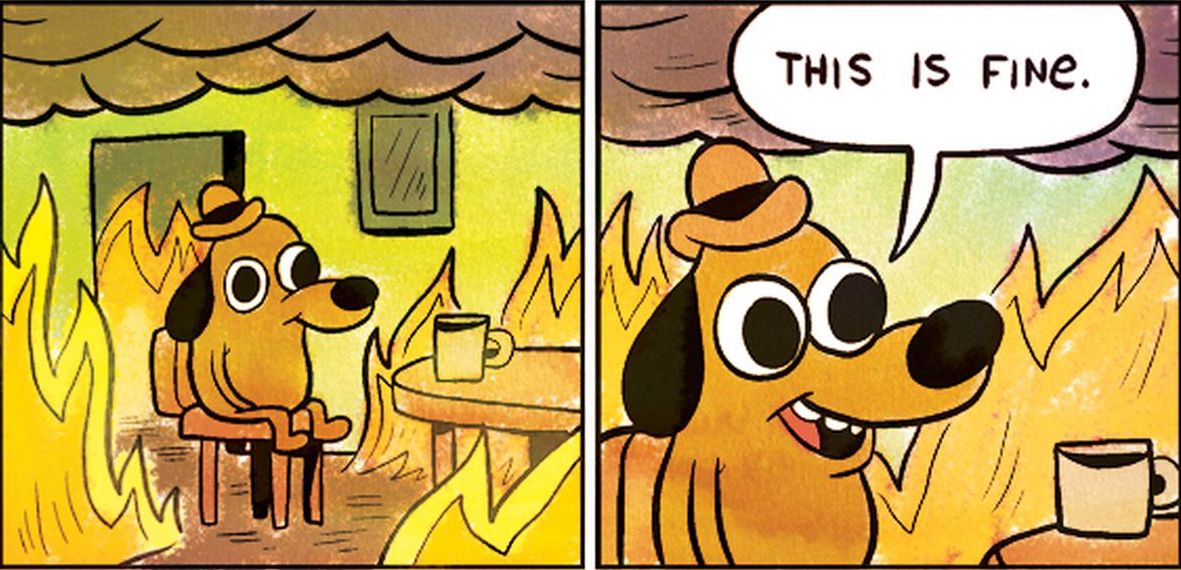 this-is-fine-meme.jpeg